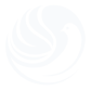 DoveTide Logo White